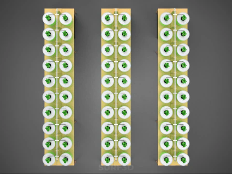 BATO DUTCH BUCKET HYDROPONIC SYSTEM POT FARM ARRANGEMENT STATION 3D Model