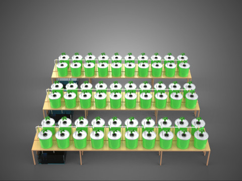 DUTCH BUCKET HYDROPONIC CROP PLANT FACTORY GREENHOUSE PRODUCTION 3D Model