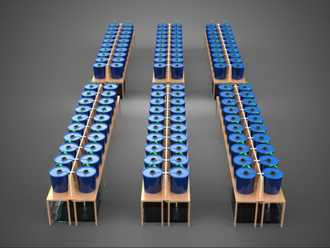 LARGE SCALE DUTCH BUCKET HYDROPONIC SYSTEM INDUSTRIAL FARM PLANT 3D Model