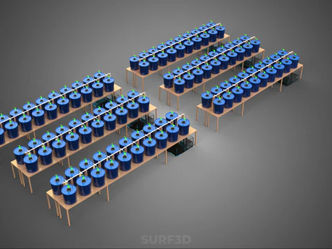 LARGE SCALE DUTCH BUCKET HYDROPONIC SYSTEM INDUSTRIAL FARM PLANT 3D Model
