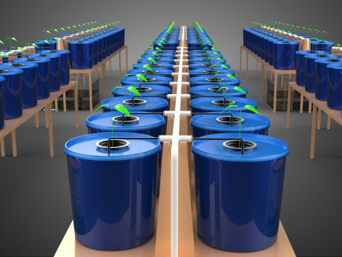 ГОЛЛАНДСКОЕ ВЕДРО ГИДРОПОНИЧЕСКОЕ АЭРОПОНИЧЕСКОЕ РАСТЕНИЕ ДЛЯ САЖЕНЦЕВ БАТО 3D Модель