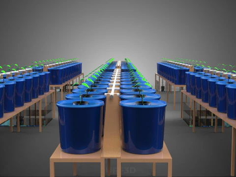 DUTCH BUCKET HYDROPONIC AEROPONIC BATO SEEDLING TREE STEM PLANT 3D Model