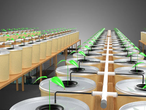 TECHNICAL DIAGRAM MODULAR DUTCH BUCKET INDOOR HYDROPONIC SYSTEM 3D Model