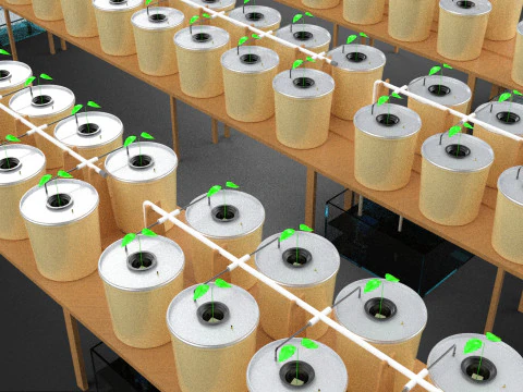 TECHNICAL DIAGRAM MODULAR DUTCH BUCKET INDOOR HYDROPONIC SYSTEM 3D Model