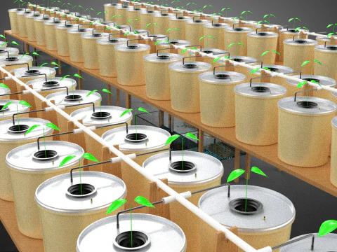 TECHNICAL DIAGRAM MODULAR DUTCH BUCKET INDOOR HYDROPONIC SYSTEM 3D Model
