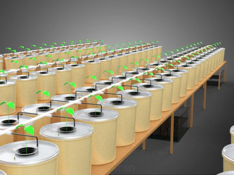 TECHNICAL DIAGRAM MODULAR DUTCH BUCKET INDOOR HYDROPONIC SYSTEM 3D Model