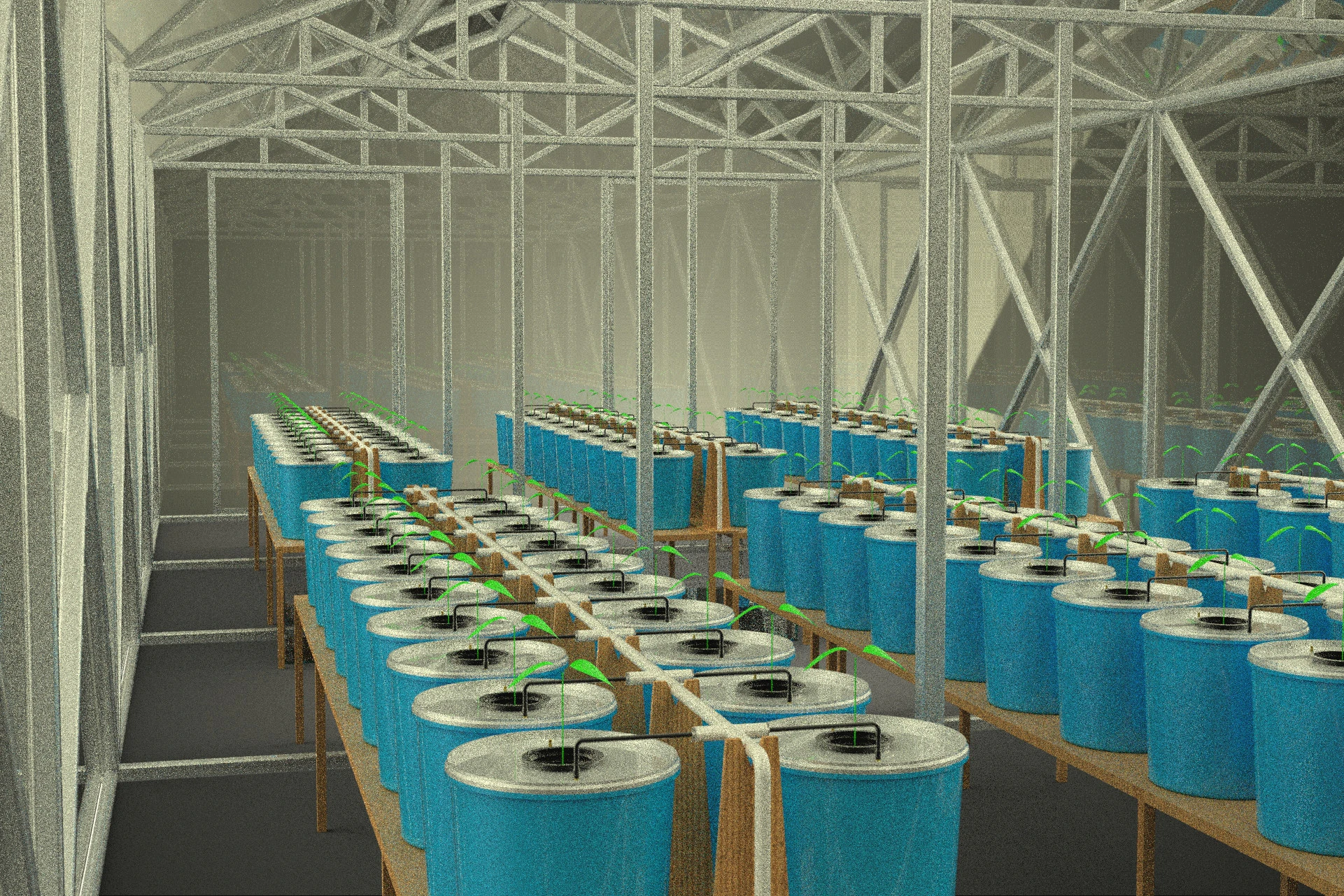 BATO DUTCH BUCKET HYDROPONIC SYSTEM GREEN GLASS HOT HOUSE PLANT 3D Model .c4d .max .obj .3ds .fbx .stl .blend 