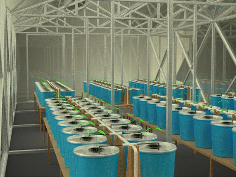 बाटो डच बकेट हाइड्रोपोनिक सिस्टम ग्रीन ग्लास हॉट हाउस प्लांट 3D मॉडल