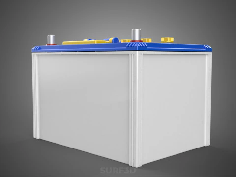 STANDARD BLUE WHITE ACCU BATTERY ACCUMULATOR VEHICLE VOLT POWER 3D Model