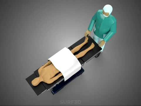 PROFESSIONAL MASSEUR THERAPIST MASSAGE SPA MAN PATIENT LYING BED 3D Model