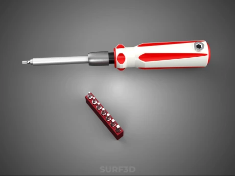STAR HEAD MULTI BIT SCREWDRIVER HAND TOOL SCREW DRIVER TIP POINT 3D Model