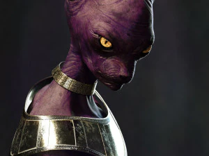 比鲁斯勋爵 3D 打印模型