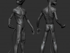 lord beerus 3D Print Model