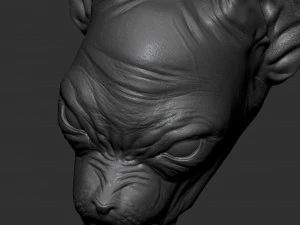 lord beerus 3D Print Model