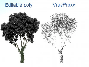 tree creeper 3D Model