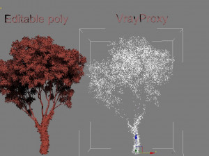 tree creeper Modèle 3D