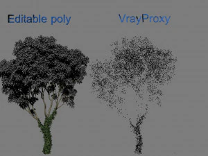 tree creeper 3D Model