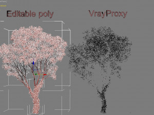 tree creeper Modèle 3D