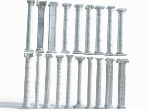 Colon 1 3D Model