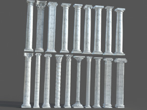 Colon 1 3D Model