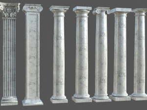 Colon 1 3D Model
