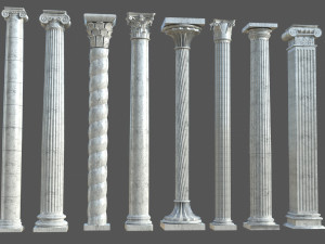 Colon 1 3D Model