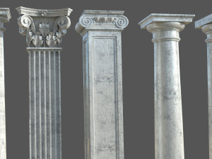 Colon 1 3D Model