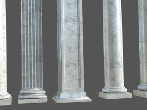 Colon 1 3D Model
