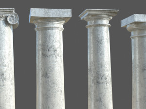 Colon 1 3D Model