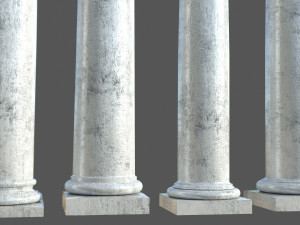 Colon 1 3D Model