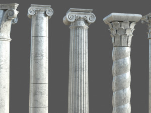 Colon 1 3D Model