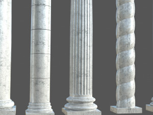 Colon 1 3D Model