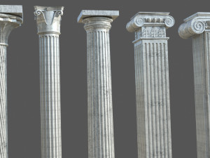 Colon 1 3D Model