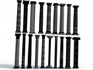 Colon 1 3D Model