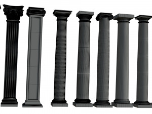Colon 1 3D Model