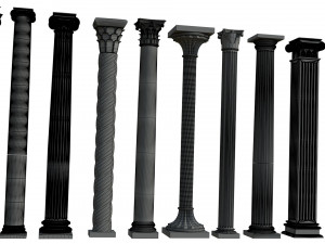 Colon 1 3D Model