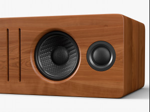 b2 wireless speaker Modelo 3D