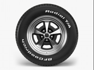 bfgoodrich magnum combo Model 3D