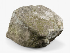 maine rock - 8k scan 3D Model