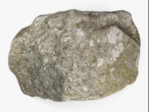 maine rock - 8k scan Modèle 3D