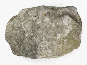 maine rock - 8k scan 3D Model