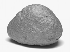 rock 02 - 16k scan Modelo 3D