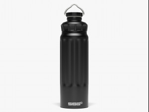 sigg water bottle 3D Model