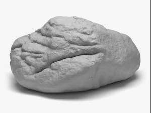 rock 05 - 8k scan 3D 모델