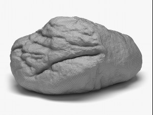 rock 05 - 8k scan 3D 모델