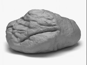 rock 05 - 8k scan 3D Model