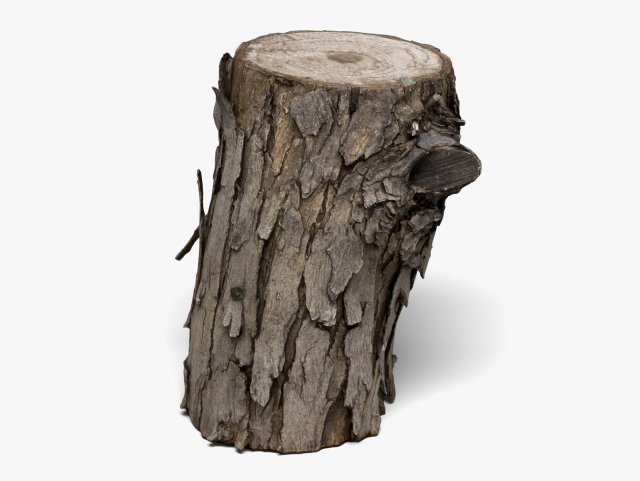 wood log - 8k scan Model 3D .c4d .max .obj .3ds .fbx .stl .blend 