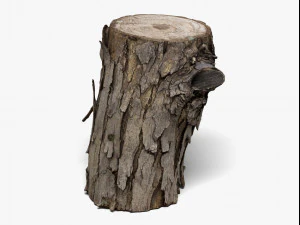 wood log - 8k scan 3D Model