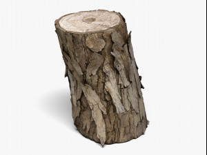 wood log - 8k scan Model 3D
