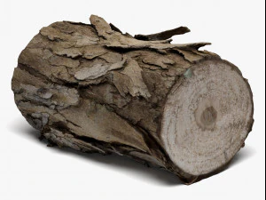 wood log - 8k scan 3D Model